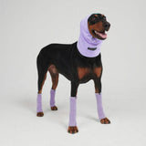 Dehnbare Fleece-Beinwärmer für Hunde - Flieder