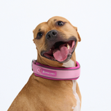 Pink Martingale Collar||size:C,D,E