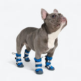 Flex Shell Wasserabweisende Hundestiefel - Blau Camo