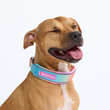 Pastel Icing Collar||size:C,D,E
