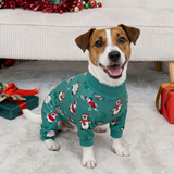 Merry Penguins||size:S,M,L,XL,2XL,3XL,4XL,5XL