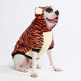 Halloween Tiger Hoodie