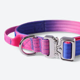 Taktisches Halsband für große Hunde - Rosa-Blau
