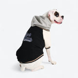 Hund-Collegejacke - Schwarz