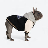 Hund-Collegejacke - Schwarz