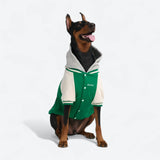 Hund-Collegejacke - Grün