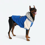 Hund-Collegejacke - Blau