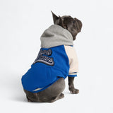 Hund-Collegejacke - Blau