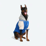Hund-Collegejacke - Blau