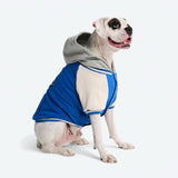 Hund-Collegejacke - Blau
