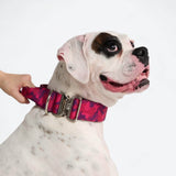 Fuchsia Camo Collar