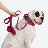 Komfort-Kontrollhalsband - Fuchsia Camo