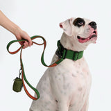 Green Orange Neoprene Leash
