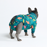 Dinosaurs Surgical Suit||size:L,XL