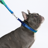 Lime Wave Collar||size:A,B