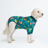 Dinosaurs Surgical Suit||size:2XL