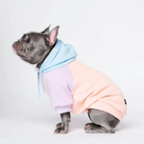 Cotton Candy Hoodie||size:L