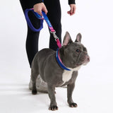 Snow Cone Martingale Collar||size:A,B
