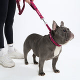 Fuchsia Camo Martingale Collar||size:A,B
