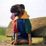 Primary Color Hoodie||size:S,M,L,XL,2XL,3XL,4XL,5XL