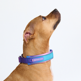 90s Retro Collar||size:C,D,E