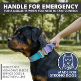 Taktisches Halsband für große Hunde - 90s Retro
