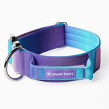 Taktisches Halsband für große Hunde - 90s Retro