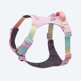Pastel Icing Everyday||size:0