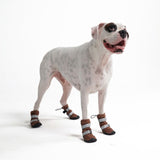 Hunde-Regenstiefel, Wasserdichte Hundeschuhe - Braun