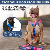 Snow Cone Harness||size:S,M,L