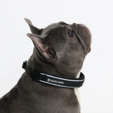 Black Collar||size:A,B