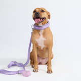 Lilac Collar||size:C,D,E