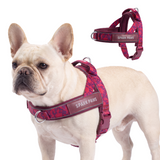 Fuchsia Camo Grab and Go||size:2