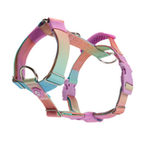 Pastel Icing Harness||size:S,M,L