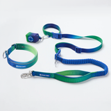 Lime Wave Martingale Collar||size:A,B,C,D,E