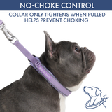 Lilac Martingale Collar||size:A,B
