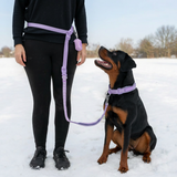 Lilac Martingale Collar||size:A,B,C,D,E