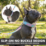 Pastel Icing Martingale Collar||size:A,B