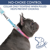 Pastel Icing Martingale Collar||size:A,B