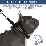 Black Martingale Collar||size:A,B