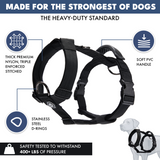 Black Harness||size:S,M,L