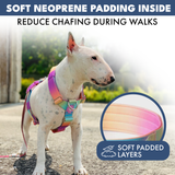 Pastel Icing Harness||size:S,M,L