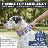 Taktisches Halsband für große Hunde - Lila