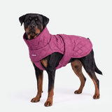 Magenta Quilted Winter Jacket||size:4XL