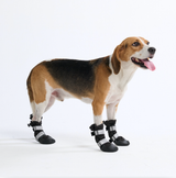Flex Shell Wasserfeste Hundestiefel - Schwarz
