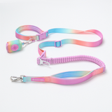 Pastel Icing Neoprene Leash