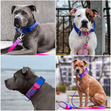 Taktisches Halsband für große Hunde - Rosa-Blau