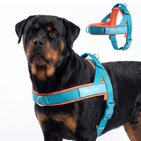 Teal Apricot Grab and Go||size:6