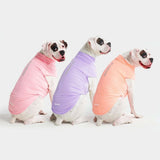 Sonnenschutz-Hunde-T-Shirts im 3er-Pack