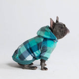 Samtiger Hunde Hoodie - Türkis-karierter